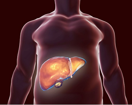 liver boost picture small